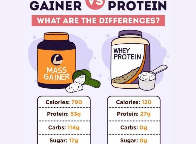 Mass Gainers vs. Whey Protein: Which is Right for You?