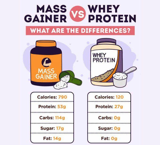 Mass Gainers vs. Whey Protein: Which is Right for You?